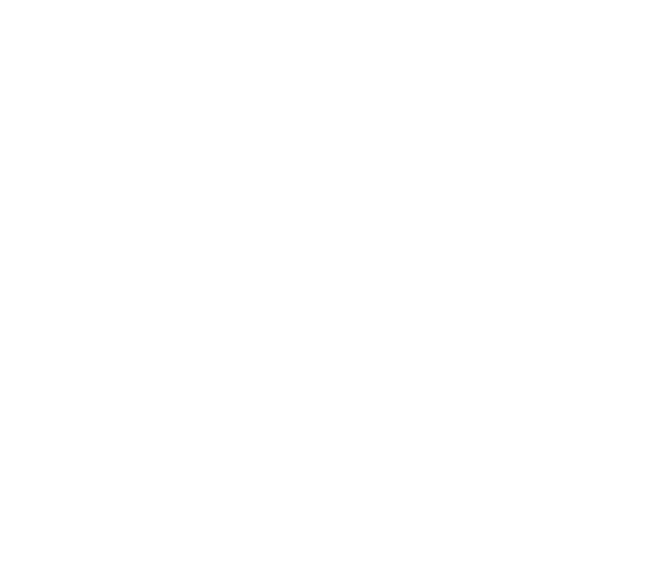 DNV ISO/IEC 20000-1